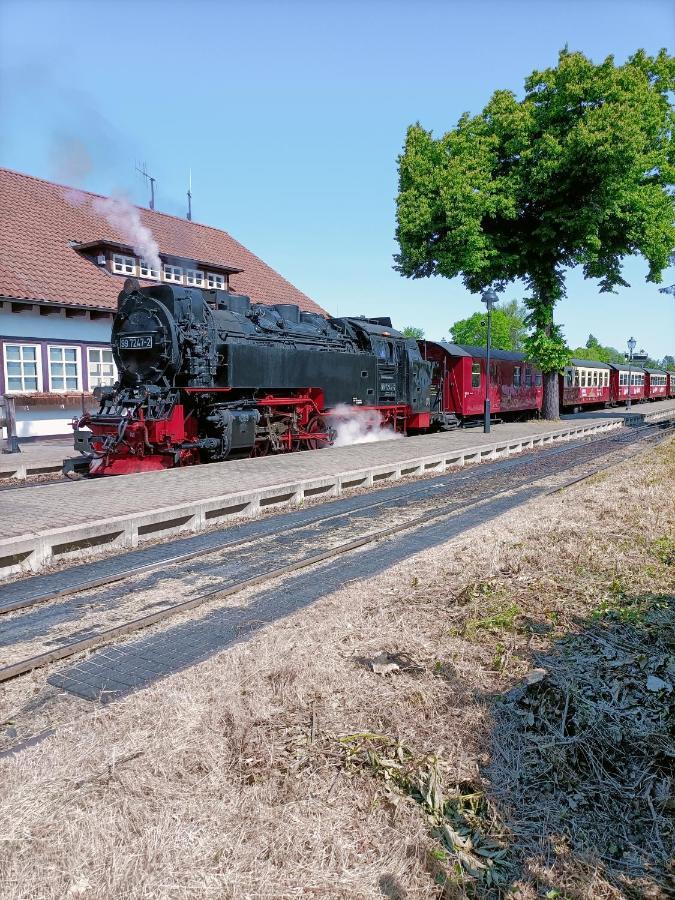 Bergsteigerbude 韦尼格罗德 外观 照片